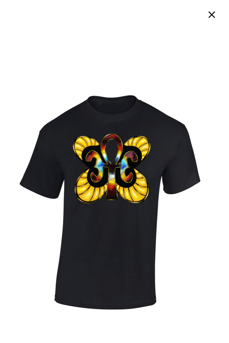 Butterfly Collection
